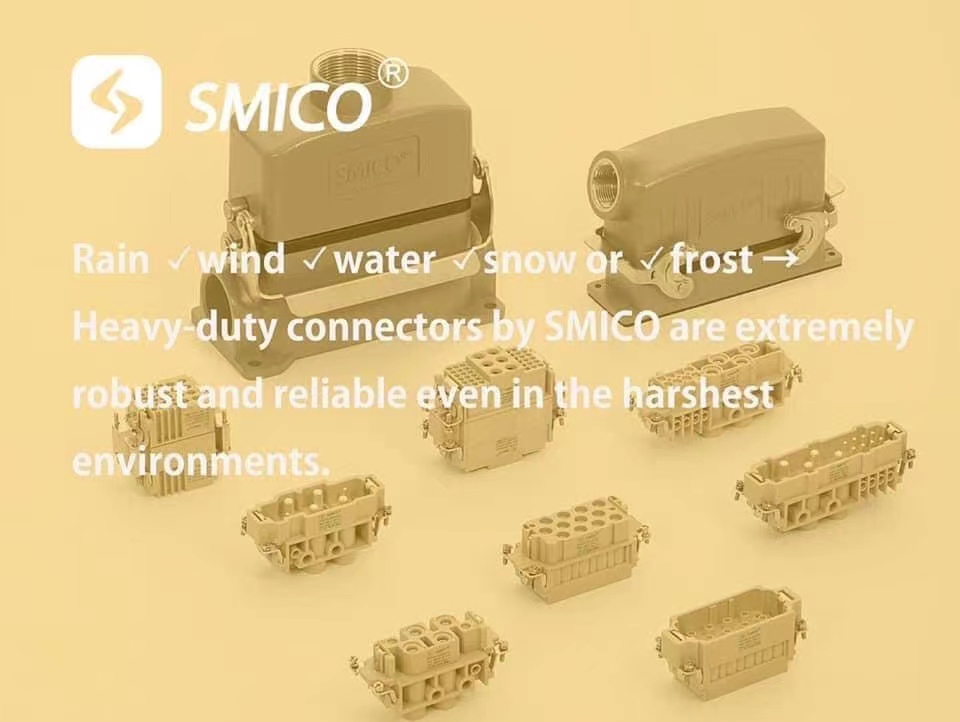 Rapid development of SMICO to meet the domestic and foreign market demand